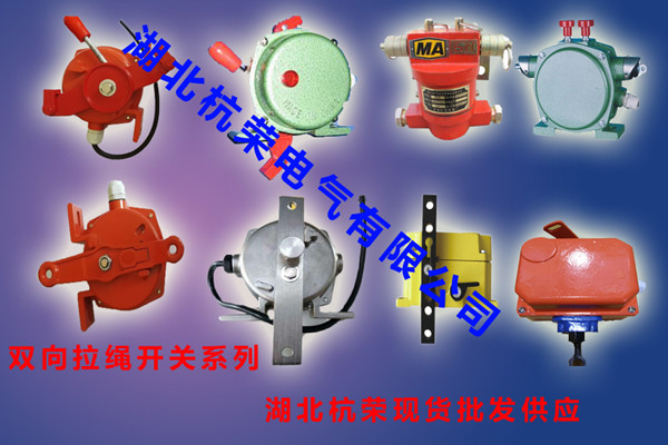 LSF-2-雙向拉繩開(kāi)關(guān)型號_雙向拉繩開(kāi)關(guān)輸送帶保護裝置