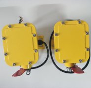 YPSL-B縱向撕裂開(kāi)關(guān)質(zhì)量贏(yíng)客戶(hù)BZL-220B防爆縱向撕裂保護裝置
