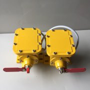 S128.001PT防腐撕裂開(kāi)關(guān)生產(chǎn)廠(chǎng)家撕裂檢測器